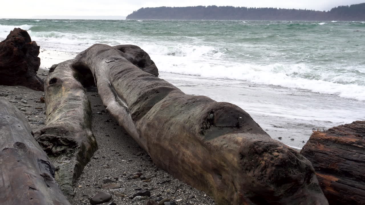 olas ásperas de puget sound en el estado de washington, estados unidos, ruedan y salpican contra madera a la deriva en una playa rocosa durante una tormenta de invierno