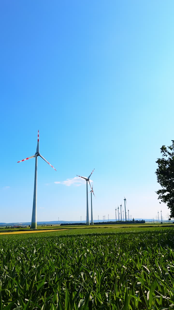 Wind turbines stand against blue sky. Wind turbines rotate gracefully in a field under a clear blue sky, surrounded by green grass and a sunny atmosphere