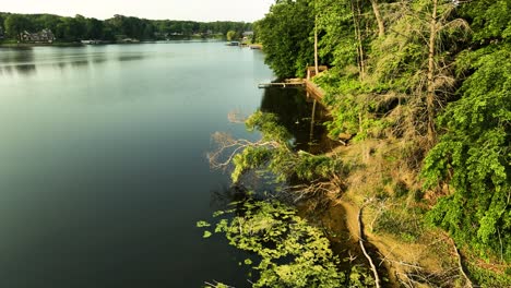 Tilting-up-to-show-the-shore-to-the-trees