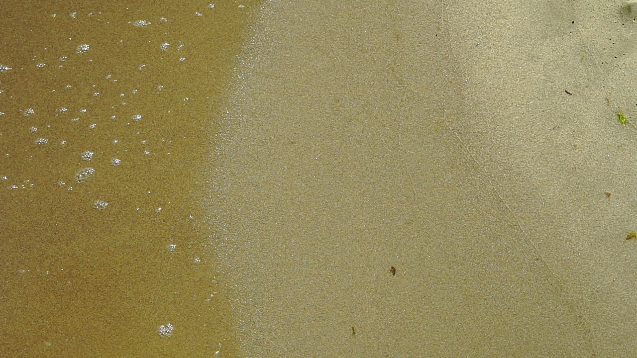 느린 동작, 바다 해안의 전망, 해안의 모래, 모래, 물에 쏟아지는 물의 거품