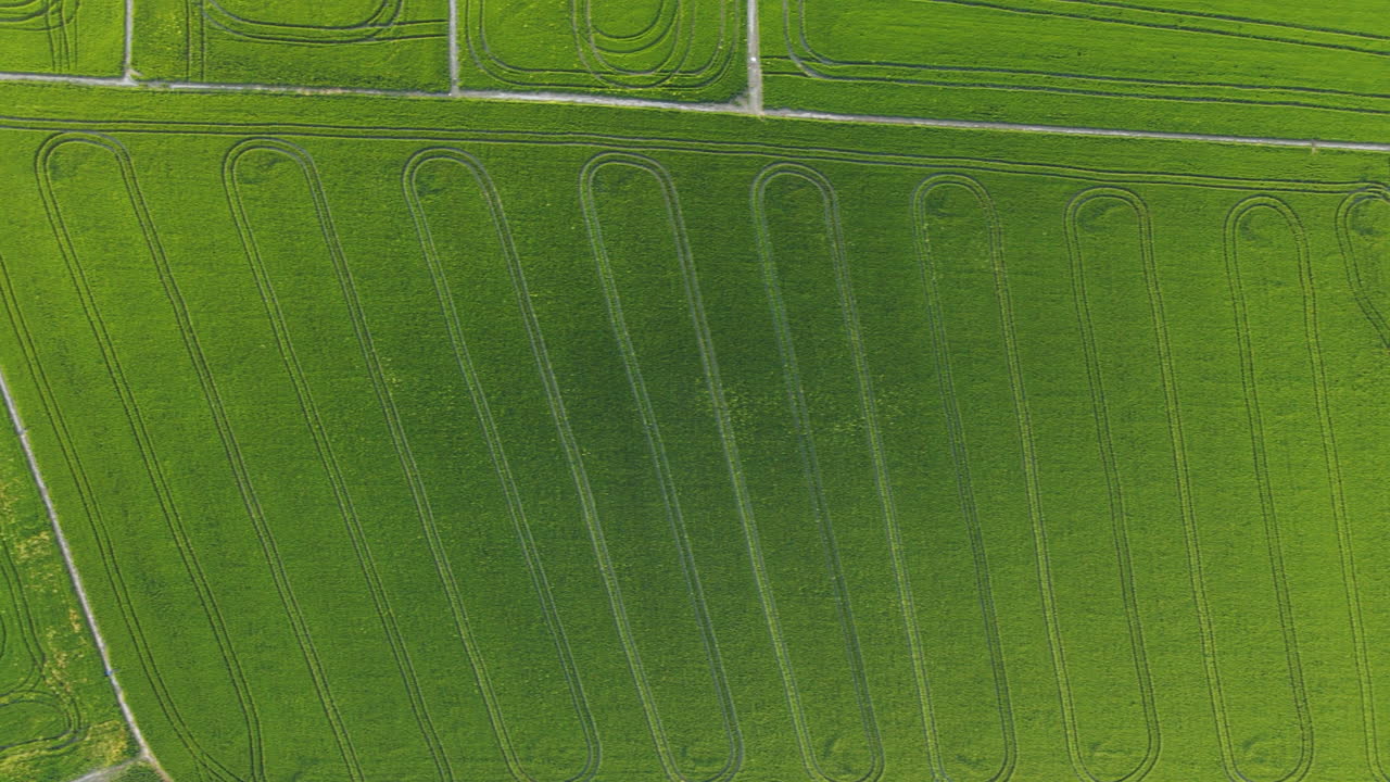 vista aérea de los campos de arroz en la albufera de valencia, españa