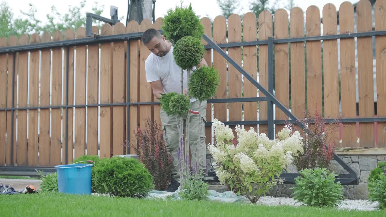 정원 가공자 는 정원 에 있는 장식용 관목 을 가시 로 잘라서, 식물 의 모양 과 정원 의 미학 에 초점을 맞추고 있다.