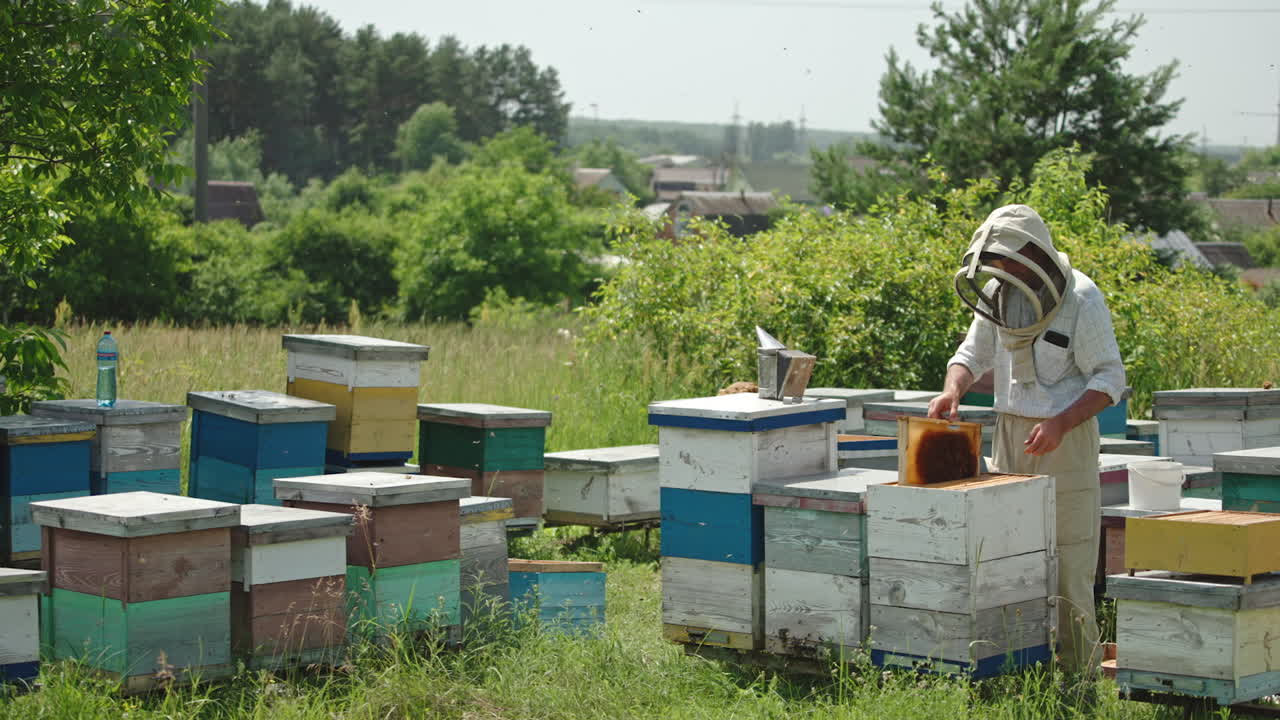 Beekeeper inspecting beehives in a rural setting