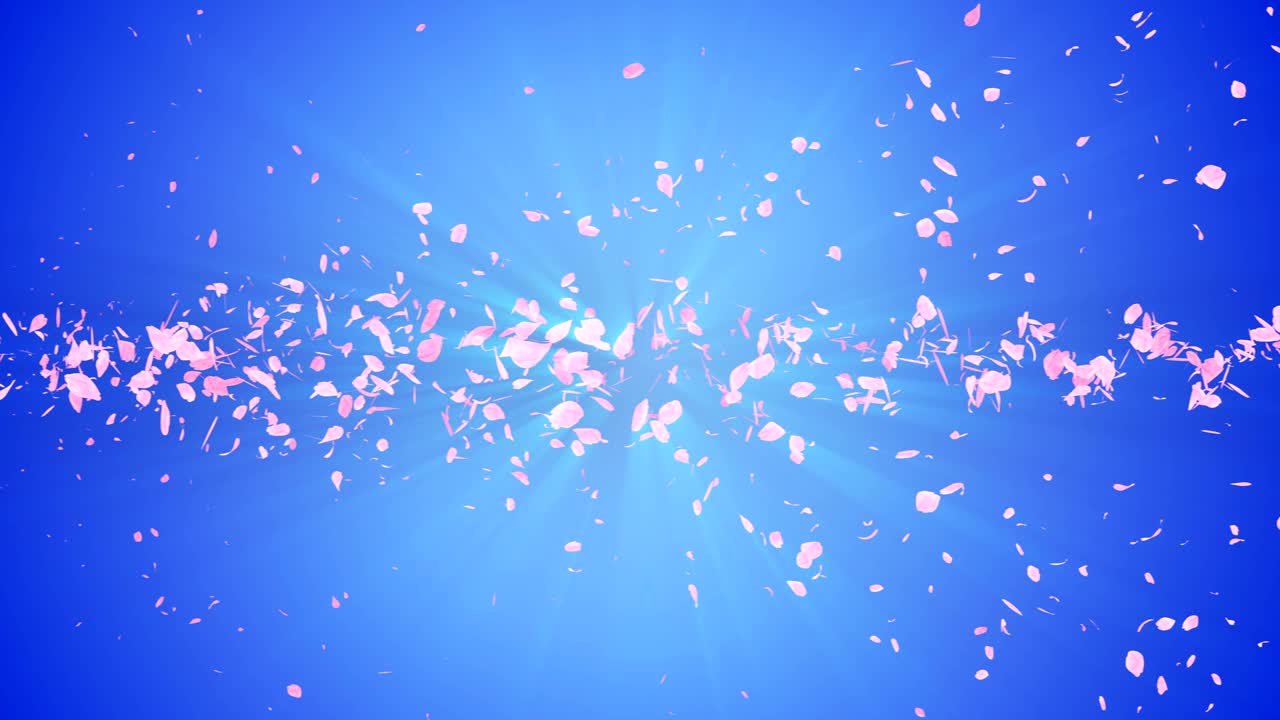 꽃의 나선형 반이는 입자, 사쿠라 패턴, 일본의 꽃 춤, 분홍색 꽃잎의 소용돌이, 추상적인 루프 애니메이션.