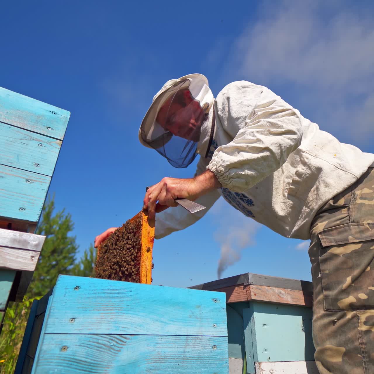 Beekeeper against blue sky. Apiculturist in protective hat examining bees in summer. Farmer looks at the frame full with bees on the apiary. View from below.