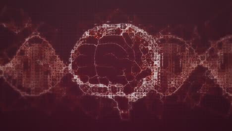 Animation-Des-Digitalen-Gehirns-Und-Des-DNA-Strangs-Auf-Rotem-Hintergrund