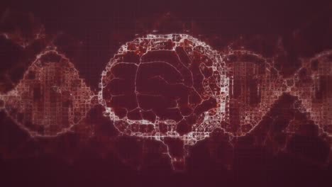 animación de cerebro digital y cadena de adn sobre fondo rojo