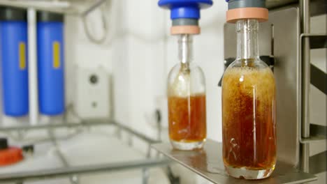 male worker filling bottles with liquor 4k