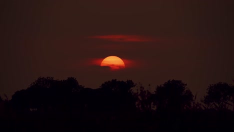 Szenische-Rote-Sonnenuntergangsonne-An-Bewölktem-Abend,-Silhouettierte-Bäume-Im-Vordergrund,-Statisch