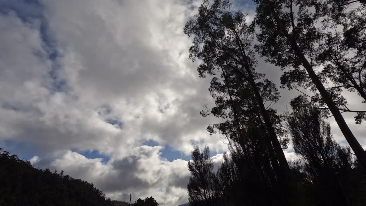 lapso de tiempo de nubes moviéndose a través de un cielo azul sobre árboles silueteados en tasmania, australia