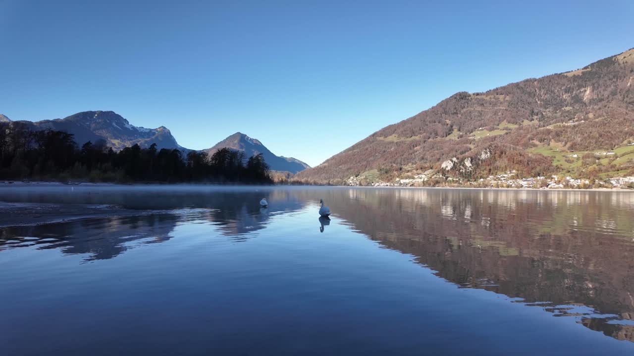 Walensee alpine lake Walen Switzerland serene calm water reflection with birds swans
