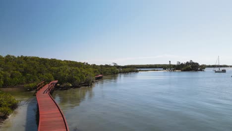 timber boardwalk winding along a protected mangrove ecosystem and conservation wetland