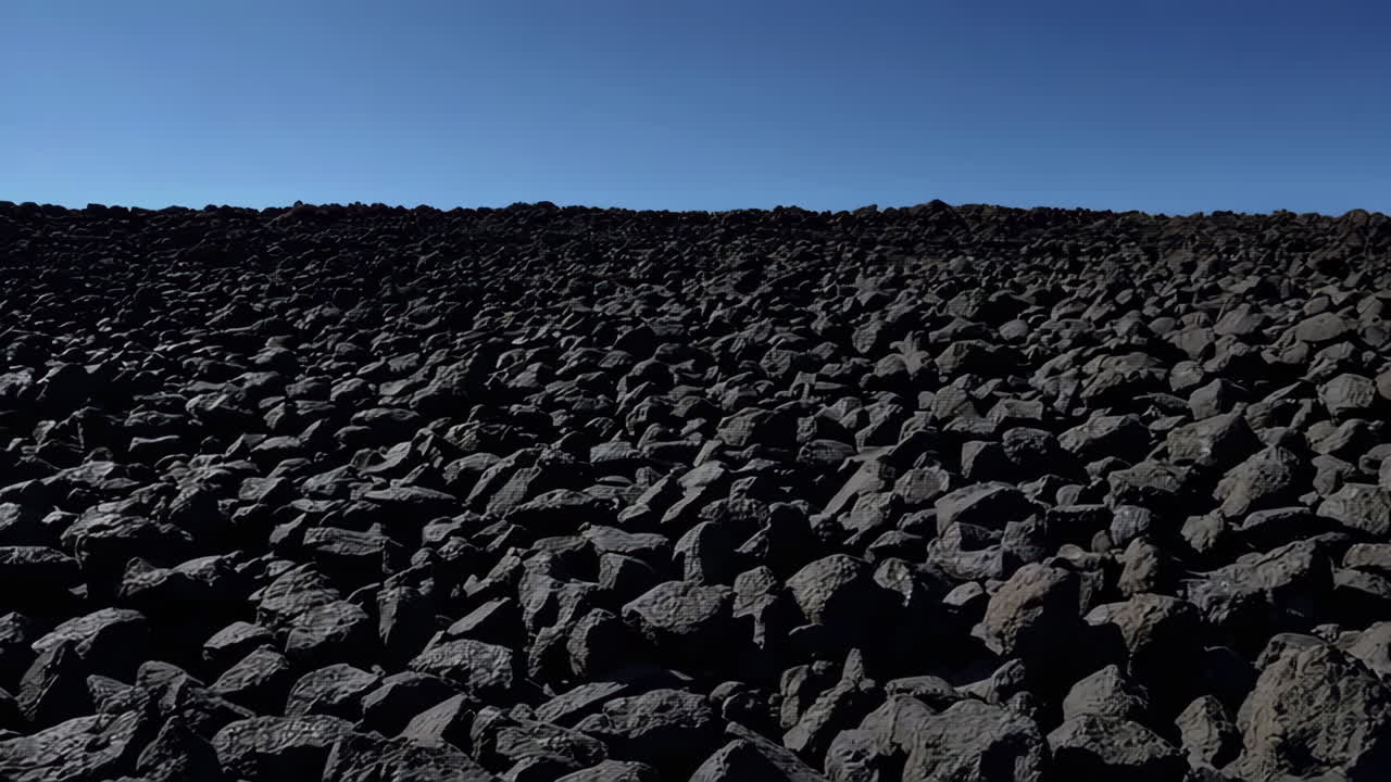 Field of Dark Volcanic Rocks