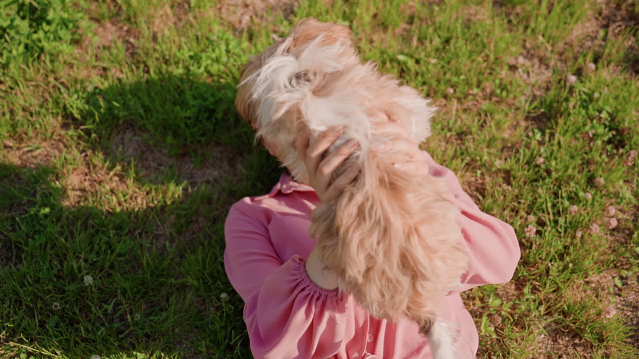Laughter And Fun In Sunny Backyard Setting, Energetic Woman Lifts Dog While Playing Outside On Grass, Cheerful Woman And Playful Dog Enjoy Lively Moment In Bright Backyard Atmosphere