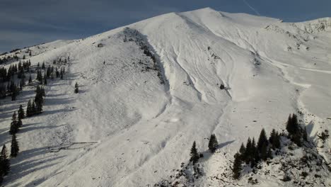 snow-covered lespezi peak in the fagaras mountains with conifers, under a clear blue sky, aerial view