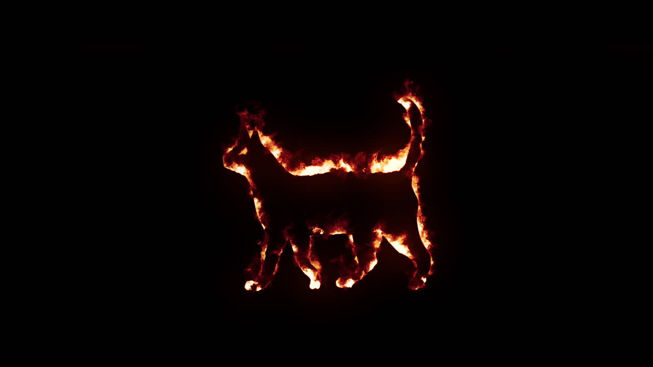 gato con fuego y efecto de quema en fondo negro