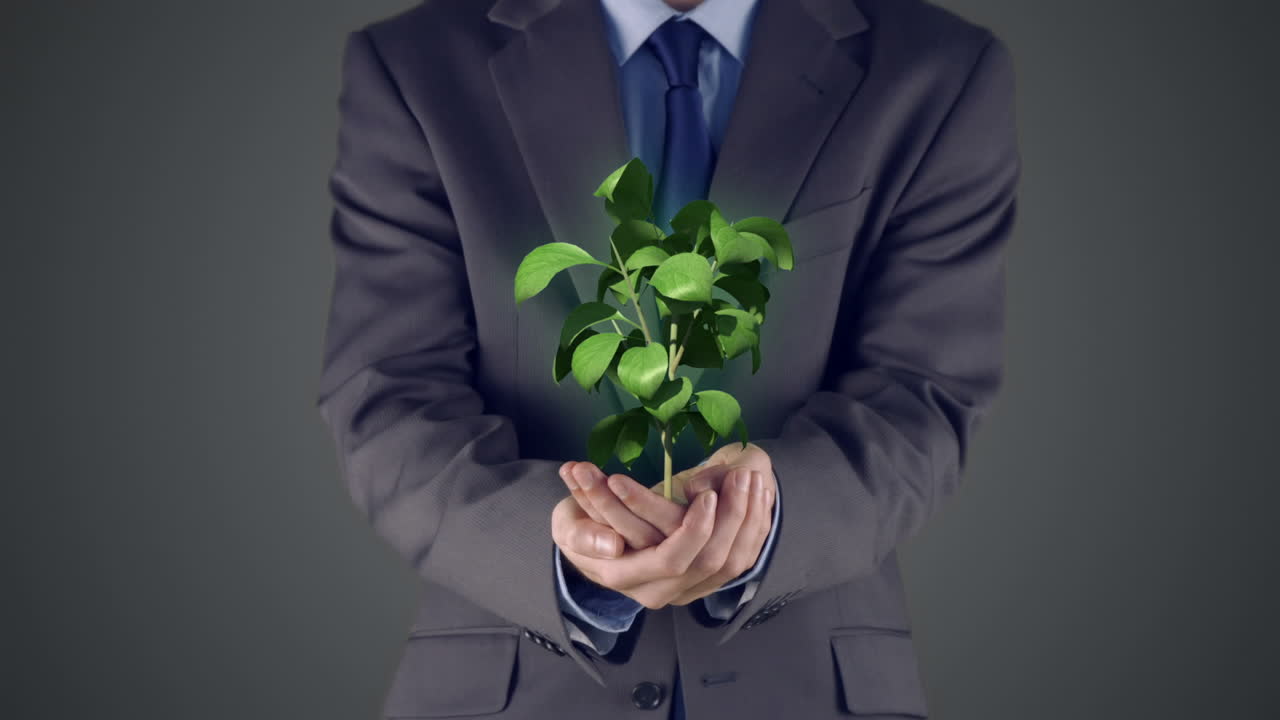 사업가 가 손 으로 식물 을 소개 하고 있다