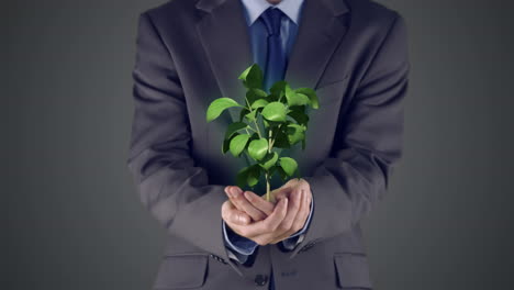 businessman presenting plant with hands