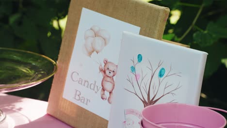 pink table with candies, food bar at gender reveal party outside