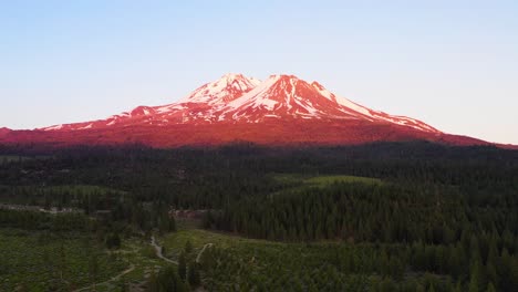 toma aérea de un monte shasta cubierto de hielo y un bosque circundante iluminado por una puesta de sol rosa