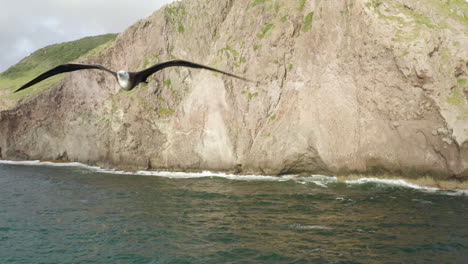 abandoned caribbean beach in the early morning. smooth fly backwards and pan up from a small cave inside a large cliff to reveal a frigatebird flying close to the camera.
4k uhd at 23.98 fps.