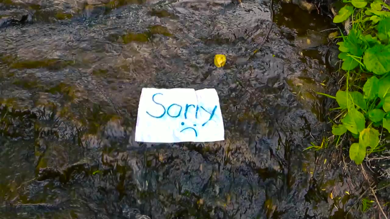 Carta bianca accartocciata con la parola "scusa" scritta a mano e un'emoticon triste che galleggia via sulla corrente di un fiume roccioso e poco profondo, a simboleggiare perdono, addio o il lasciar andare la tristezza