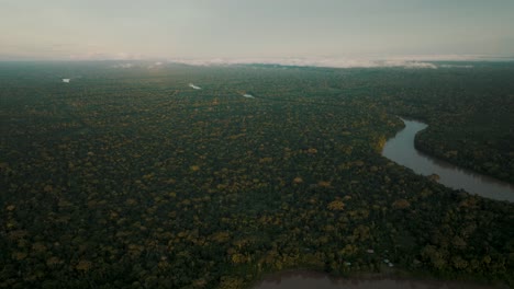 aerial view of amazon river between deep rainforest and jungle in peru