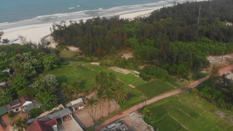 small village next to trung thanh beach vietnam during daytime, aerial
