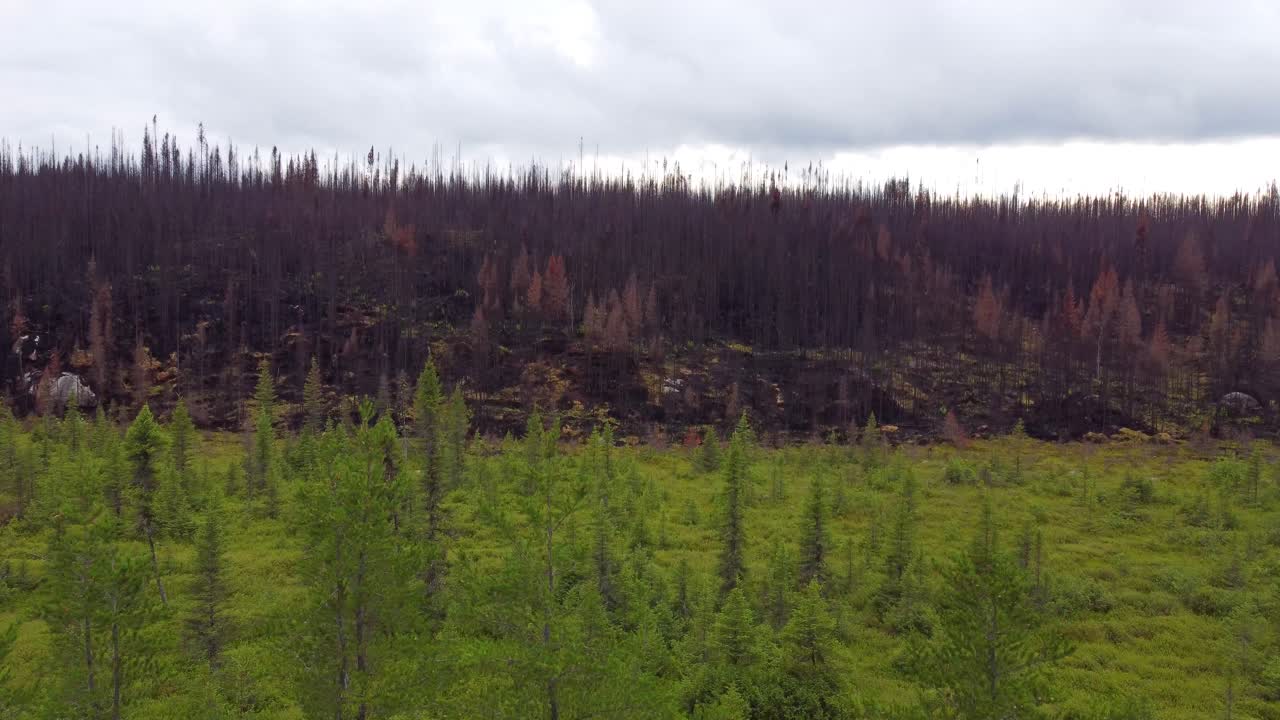 Drone Takes Off and Reveals the Wildfire Aftermath in Lebel-Sur-Qu&eacute;villon, Quebec