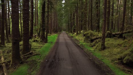 camino forestal cerca de un pozo de arena con altos árboles de alce, toma aérea de dolly, canadá