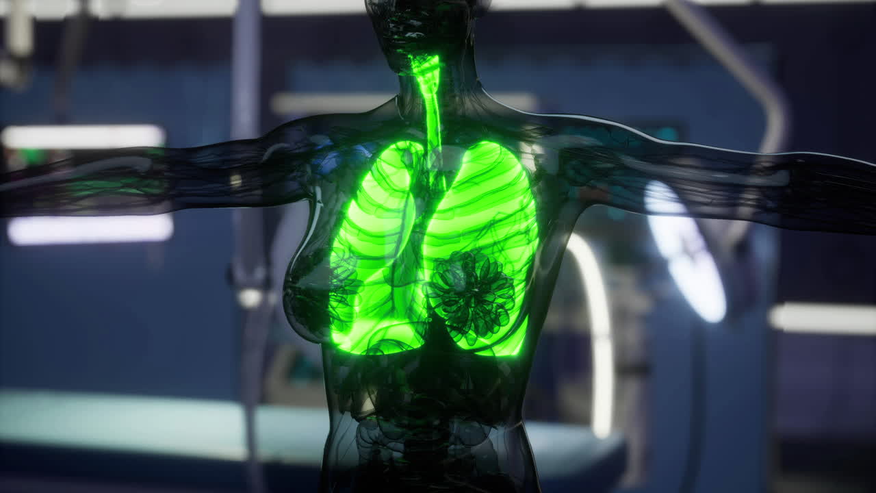 Lungs illuminated in a high tech medical environment for educational purposes