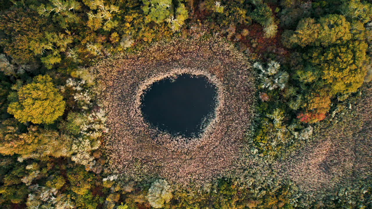 Beautiful water pond in Ninigret Park aerial top down United States nature