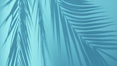 Tropical-palm-tree-leaves-against--blue-background.-vertical