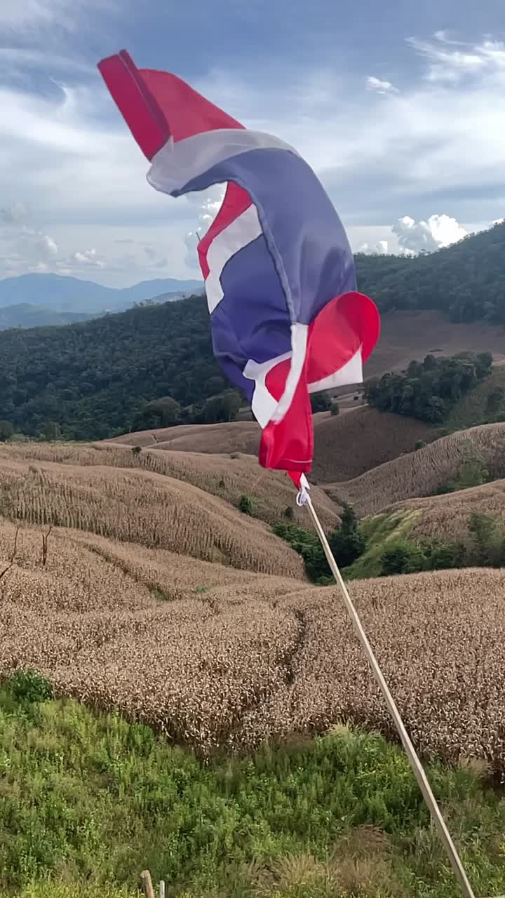 천천히 움직이는 태국 발의 수직 정적이 밝은 하늘 아래 울창한 계곡 위에 흔들리고 있습니다.
