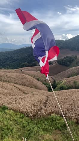 cámara lenta estática vertical de la bandera tailandesa ondeando sobre un valle exuberante bajo un cielo brillante