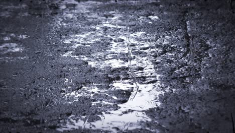 heavy rain shower downpour cloudburst rainfall behind the glass.