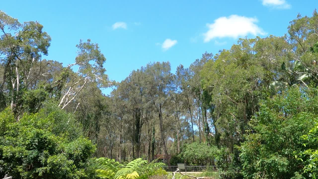 계절을 거치며 변하는 숲의 시간 흐름