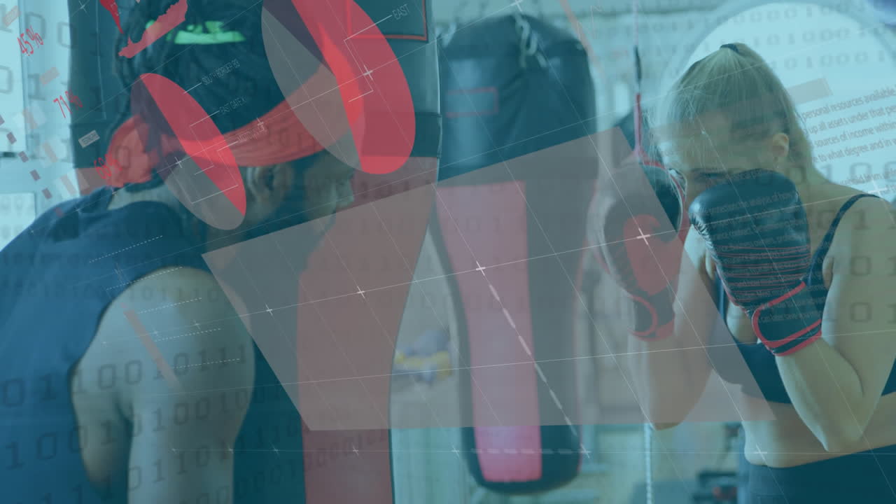 여성 권투 선수 훈련에 대한 통계 데이터 처리