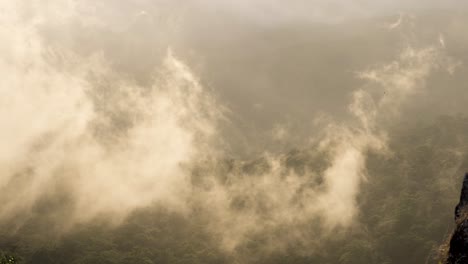 Birds-flying-through-misty-foggy-rising-cloud-on-the-side-of-a-tropical-rainforest-hill-during-the-late-afternoon-soft-sun