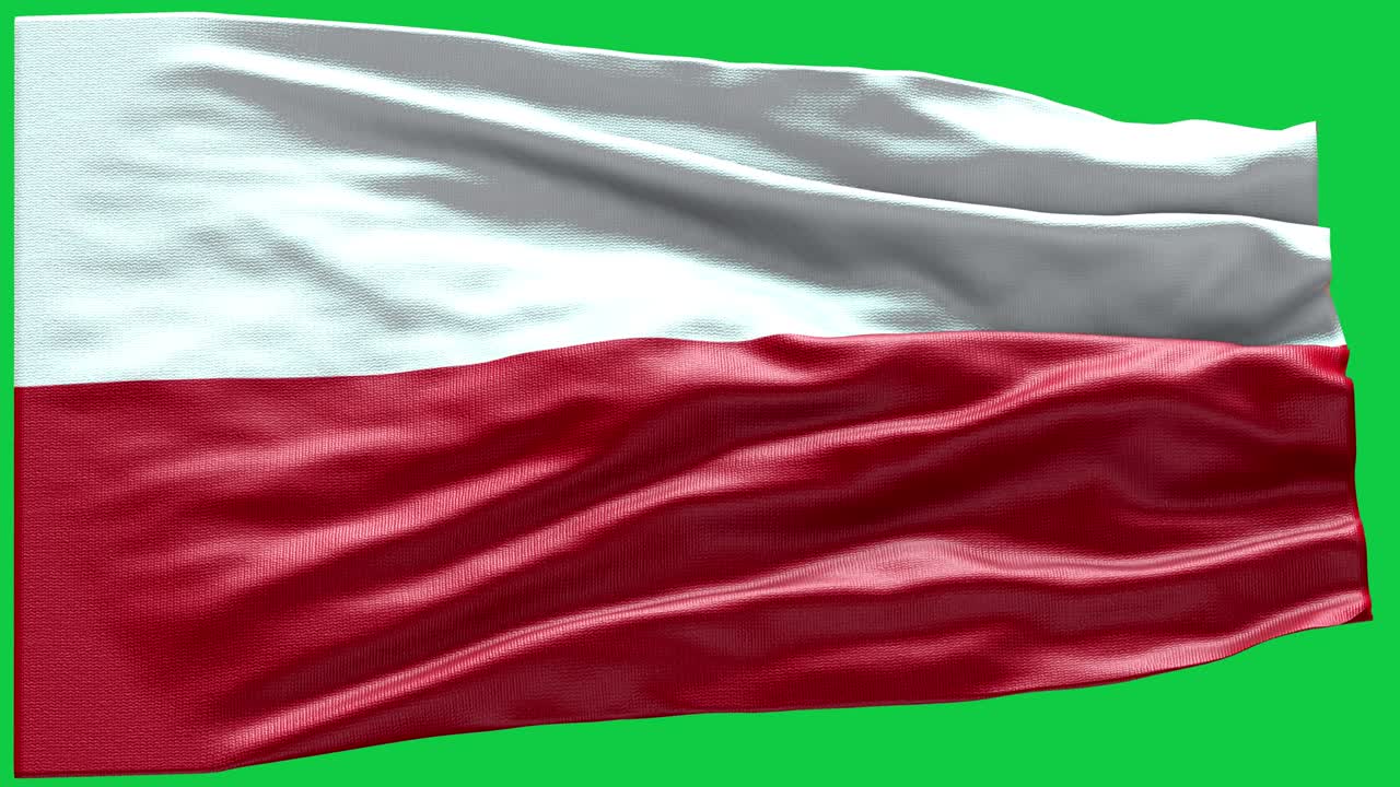 폴란드의 발 - 폴란드 발 높은 세부 사항 - 국가 발 폴란드 파동 패턴 루프 가능한 요소