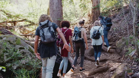 Rückansicht-Junger-Freunde,-Die-Gemeinsam-Durch-Die-Landschaft-Wandern-Und-Den-Weg-Entlang-Gehen