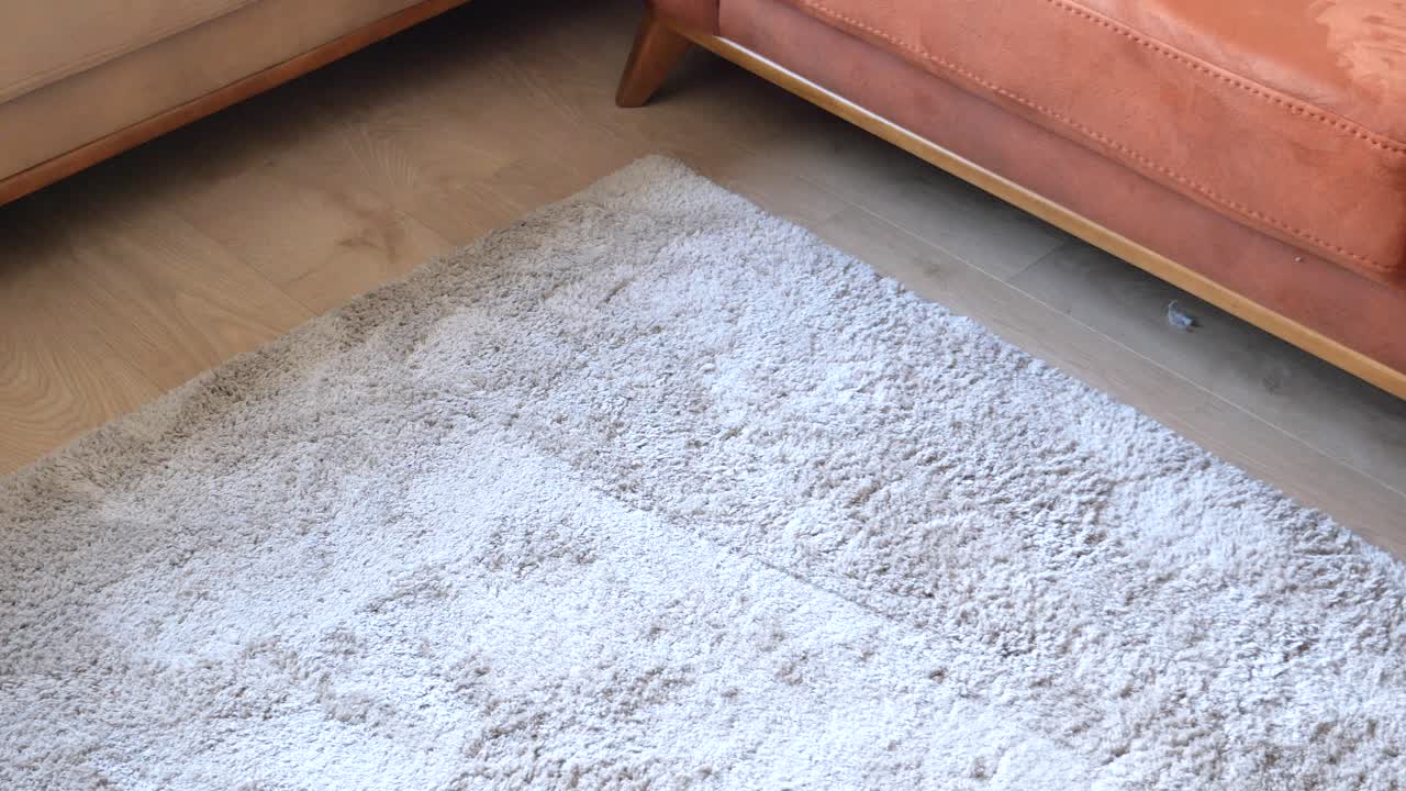 alfombra beige en una sala de estar con sofá naranja