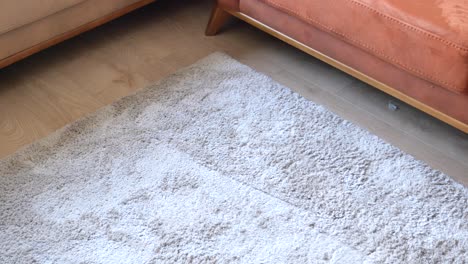 beige rug in a living room with orange sofa