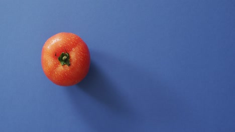 파란색 배경 에 복사 공간 을 가진 신선 한  ⁇ 은 토마토 의 비디오