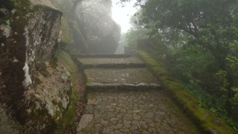 stone path leading to upper moors castle part with mist covering whole area
