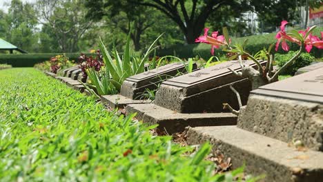 Toma-Estática-Hd-Del-Cementerio-Conmemorativo-De-La-Segunda-Guerra-Mundial-Con-Lápidas-De-Prisioneros-De-Guerra-En-Un-Cementerio-Pacífico-En-Kanchanaburi,-Tailandia