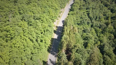 toma aérea de una carretera vacía rodeada por dos líneas de un bosque