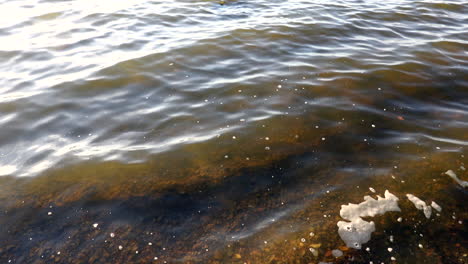 La-Belleza-De-Las-Olas-A-Lo-Largo-De-La-Orilla-De-Un-Pequeño-Lago-En-El-Desierto