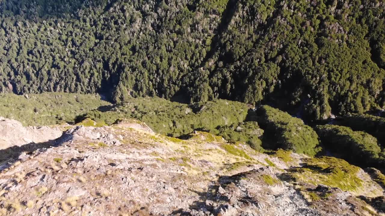 Mountain Climber On The Ridge Overlooking Lush Green Landscape In Arthur's Pass National Park, Canterbury, New Zealand - aerial drone