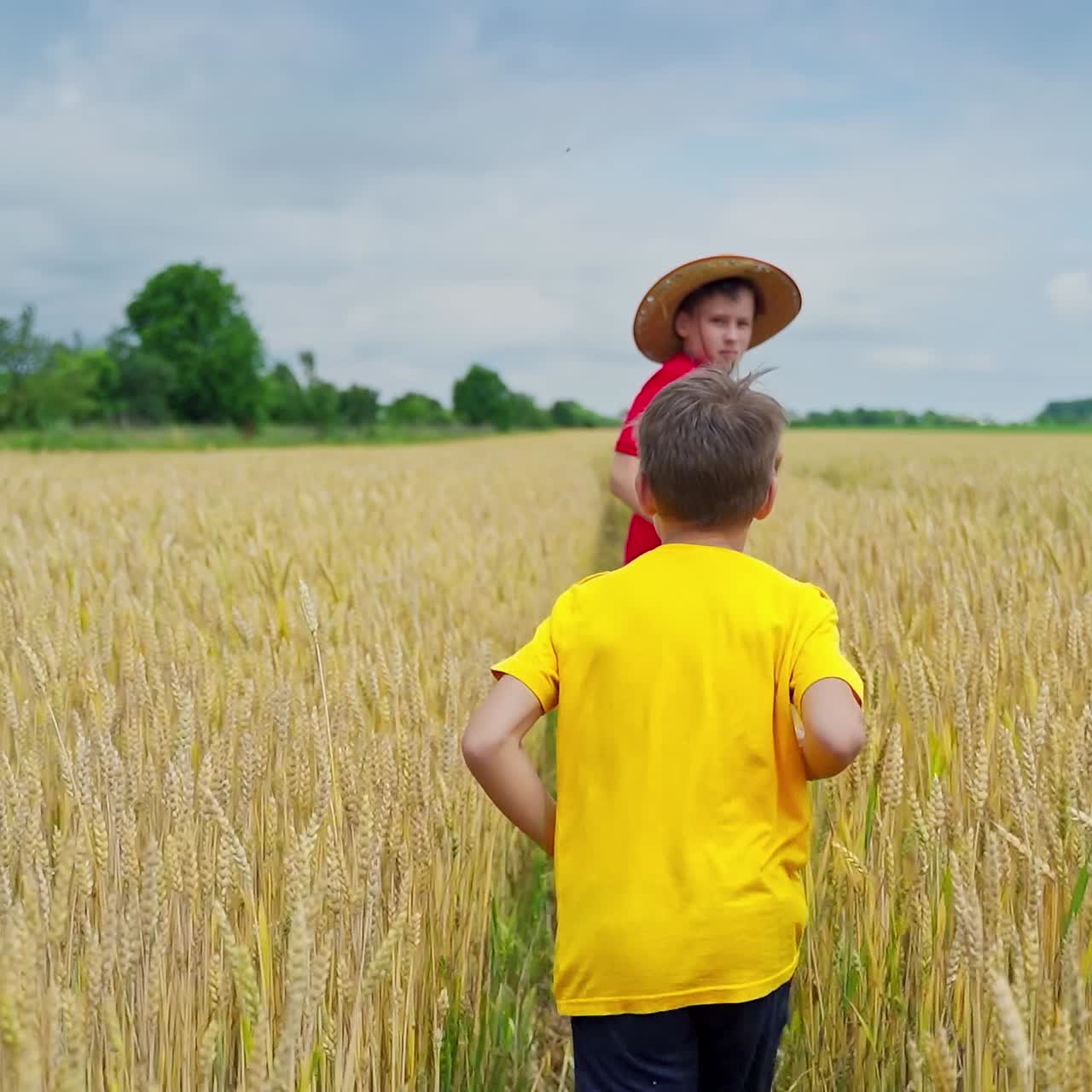 Children playing in wheat field